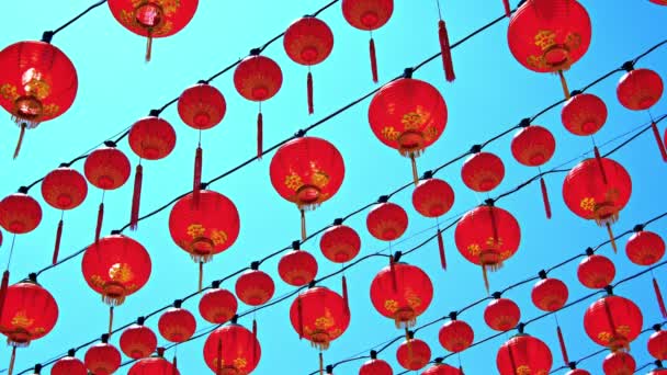 Rows of Chinese Lanterns Outside a Buddhist Temple — Stock Video