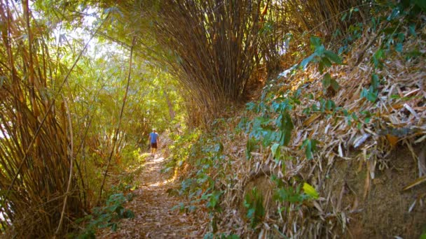 Turistik bir doğa iz Güney Tayland boyunca hiking — Stok video