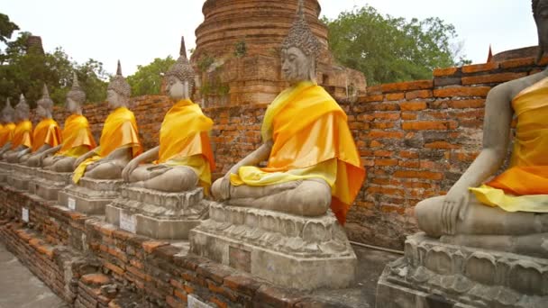 Raden av sten statyer av Buddha klädd i orange tyg vid Wat Yai Chai Mongkhon — Stockvideo