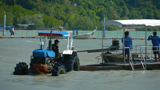 Il personale del tour. scaricare il carico da un manufatto. barca tour in legno. su un rimorchio trainato da un trattore agricolo. parcheggiata nell'acqua poco profonda . — Video Stock