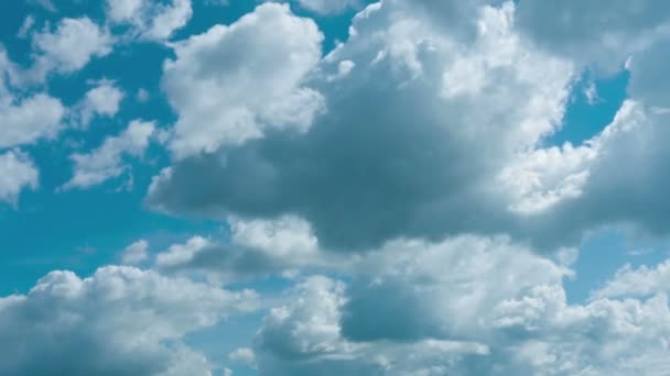 Fluffy Clouds Building and Drifting in Timelapse — Stock Video