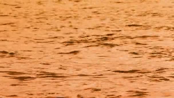 Static Shot of Mildly Choppy Ocean Water at Sunset — Videoclip de stoc