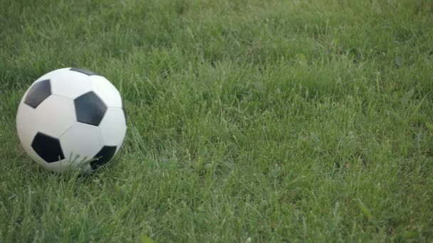 Closeup a futball gördülő into keret Grass — Stock videók