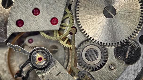 Macro Shot av Clockwork mekanism inuti en klocka — Stockvideo