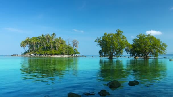 Winzig. tropische Insel in Südthailand mit Mangrovenbäumen. — Stockvideo