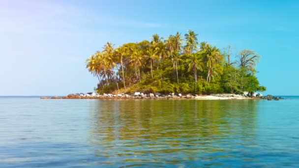 Bonita isla tropical con palmeras y una playa rocosa Clip De Vídeo