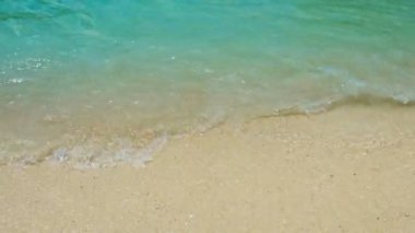 Yumuşak dalgalar üzerinde bir tropikal Sandy Beach yıkama