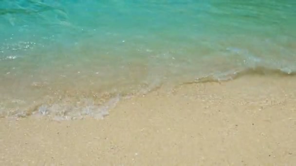 Olas suaves lavándose sobre una playa tropical de arena — Vídeos de Stock