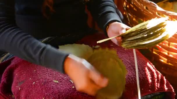 Videóinak fullhd - válogatás a levelek szivar előállításához. Inle lake, Mianmar — Stock videók