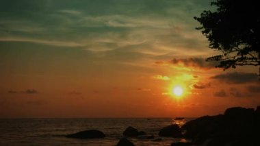 video 1080p - tropikal okyanus kıyısında. Sakin manzara