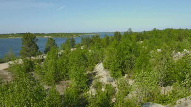 Video 1080p - Paisaje del norte con pinos y río Niva. Rusia — Vídeos de Stock