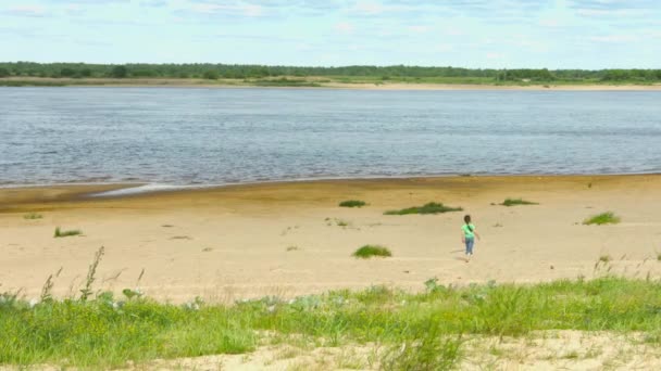 Video 1080p - ensam barn promenader längs stranden av en stor flod — Stockvideo