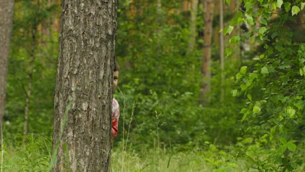 Video: Fröhliches kleines Mädchen versteckt sich im Wald hinter einem Baum — Stockvideo