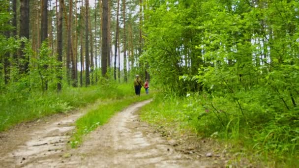 Vídeo 1080p - Avô caminhando com neta ao longo da estrada da floresta — Vídeo de Stock