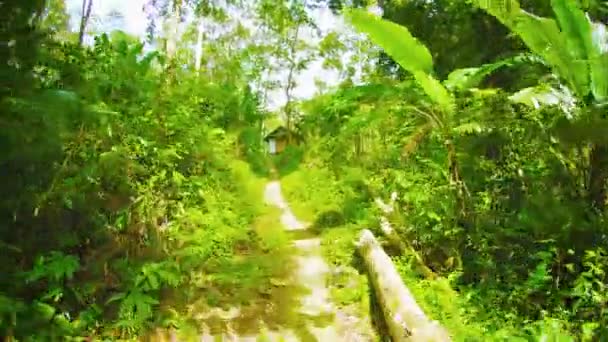 Forest path running past the forest house. Thailand. Phuket — Stock Video