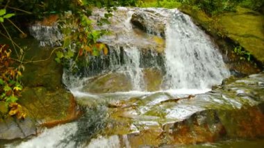 Küçük şelale ormanlarında. Phuket. Tayland