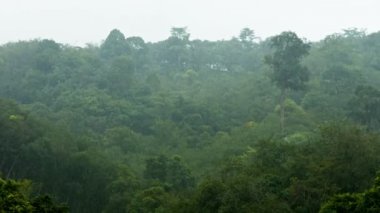 Şiddetli yağmur fırtınası orman dağın Güney Tayland