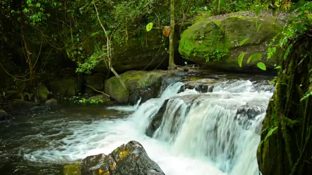 Malerischer kambodschanischer Wasserfall — Stockvideo