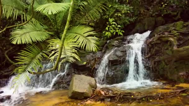 Naturliga vattenfall i regnskogen i Thailand — Stockvideo