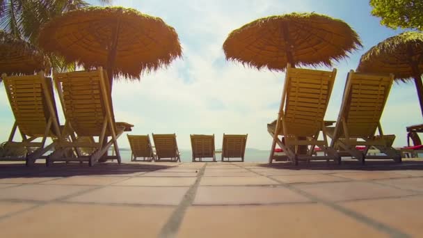 Ligstoelen en rieten parasols op het strand — Stockvideo