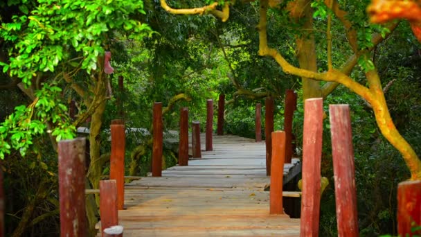 Toeristische wandeling langs verhoogde houten wandelpad in Cambodja — Stockvideo