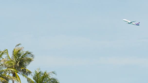 PHUKET. THAILAND - CIRCA NOV 2014: Passenger aircraft climbs after takeoff. Passes over the tops of several coconut palms in Thailand. Asia. — Stock Video