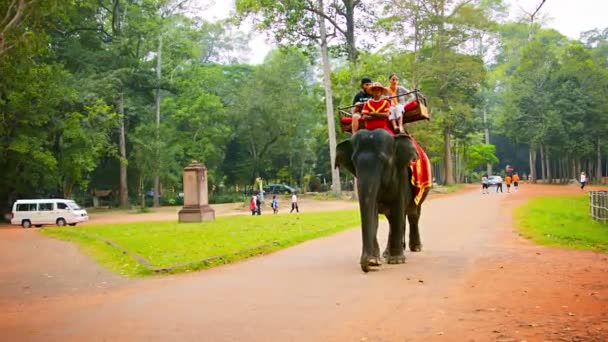 SIEM REAP. CAMBODIA - CIRCA DEC 2013: Large adult Asian elephant approaches and passes the camera carrying passengers and a guide through the park in Siem Reap — Stock Video