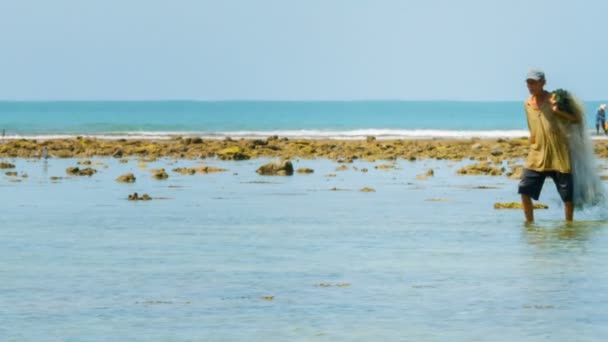 PHUKET. TAILÂNDIA - CIRCA NOV 2014: Pescador local vagueia em águas rasas procurando o melhor lugar para lançar sua rede enquanto aves marinhas caçam ao fundo. Tailândia. Ásia . — Vídeo de Stock