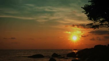 Tropikal okyanus kıyısında. Sakin manzara