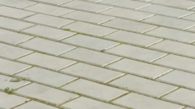 Kaldırım süpürme. Süpürge yakın çekim