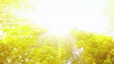Tayland Etherial güneş ışınları altında ses ile güzel şelale