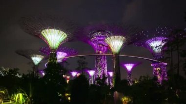 Geceleri Singapur 'daki körfez kenarındaki bahçeler.