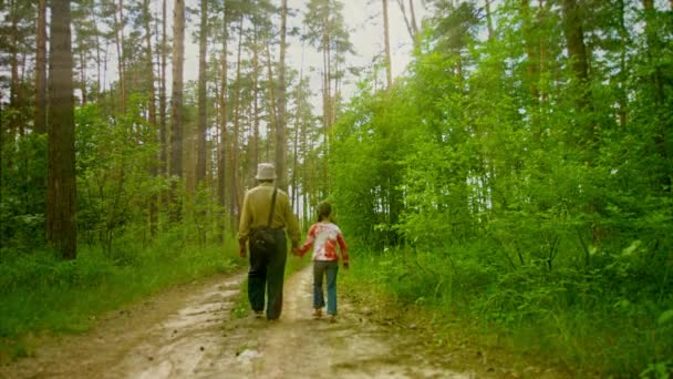 Nonno e nipote camminano lungo la foresta soleggiata — Video Stock