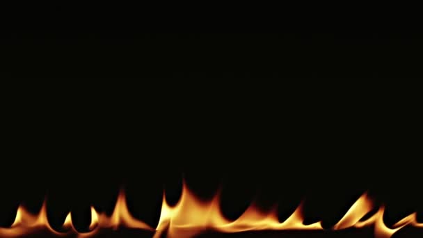 Brand vlammen dansen op een zwarte achtergrond — Stockvideo
