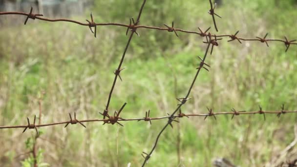 Arame farpado em um fundo de grama — Vídeo de Stock