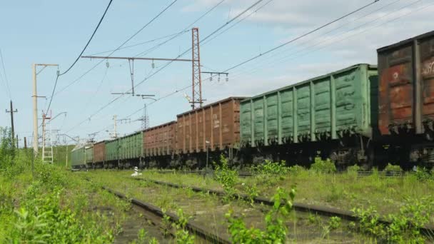 POLJARNIE ZORI. RUSIA - CIRCA JUN 2014: Largo tren de mercancías que atraviesa el bosque del norte — Vídeo de stock