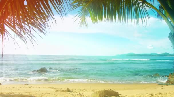 Thaïlande. Île de Phuket. Plage ensoleillée avec palmiers sans personnes — Video