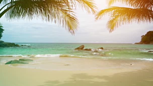 종 려를 가진 밝은 열 대 해변 하늘 배경에 나뭇잎 — 비디오