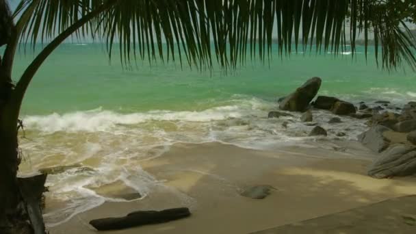 Wild beach, emberek nélkül. Thaiföld. Phuket sziget — Stock videók