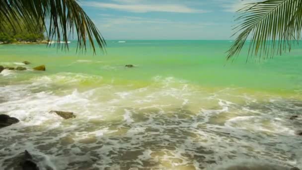 Surf. beach. palm trees and their shadows. Thailand. Phuket Island — Stock Video