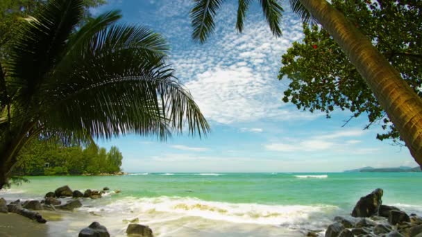 Берег тропічного пляжу з пальмами — стокове відео