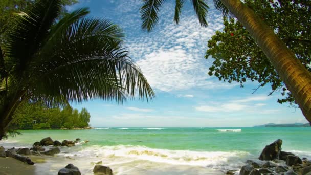 Le rivage d'une plage tropicale avec des palmiers 