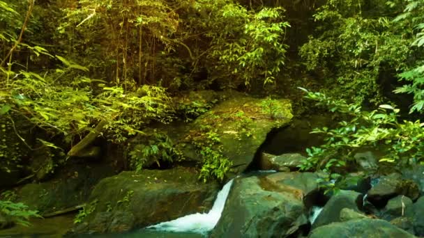 Pequena cachoeira natural na Tailândia — Vídeo de Stock