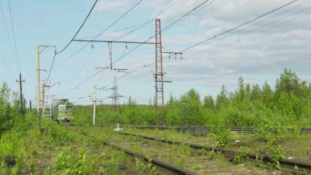 POLJARNIE ZORI. RUSIA - CIRCA JUN 2014: Tren de mercancías en movimiento — Vídeos de Stock