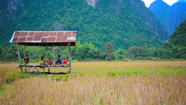 Vang Vieng. Laosz-Circa december 2013: mezőgazdasági dolgozók pihenő egy nap menedéket a rizs területén a száraz évszakban. a közelben Vang Vieng. Laosz. népzenével a háttérben. — Stock videók