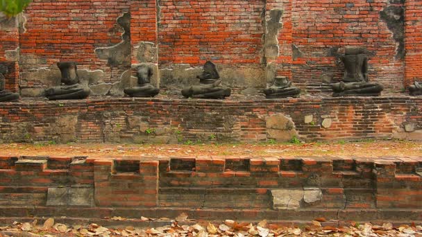 Turista Visitando uma antiga ruína do templo em Ayutthaya. Tailândia — Vídeo de Stock