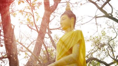 Tayland Ayutthaya tarihsel Park'ta bir sarı kuşak içinde Tunceli Buda heykeli