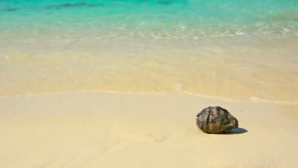 Kis hullámok feltörése a homokos Tropical Beach, Thaiföld — Stock videók