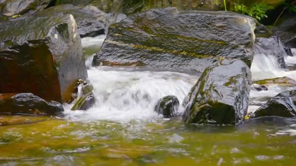 Wideo 1080p-górski strumień burbling nad skały z dźwiękiem — Wideo stockowe