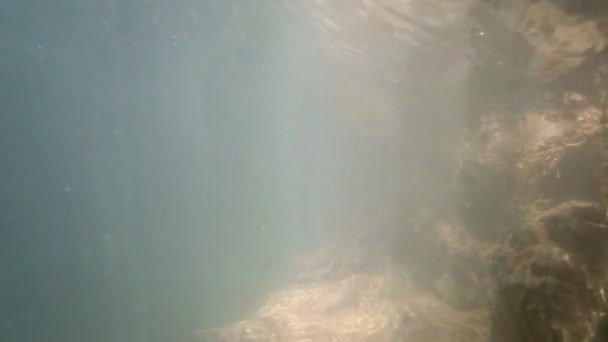 Homme plongeant les deux mains dans le ruisseau naturel 